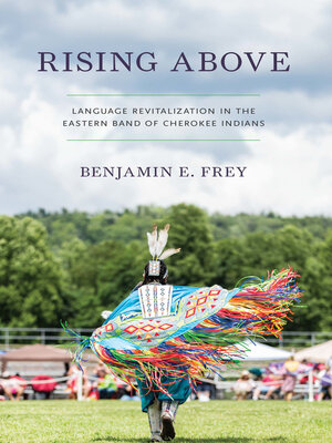cover image of Rising Above